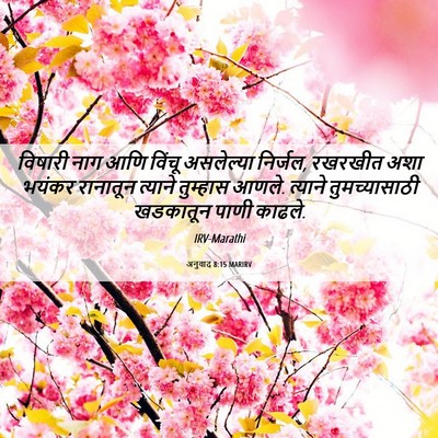 Picture 06 - अनुवाद 8:15 MARIRV - विषारी नाग आणि - Bible Verse Picture