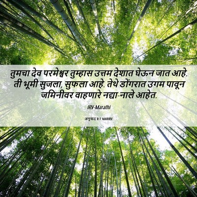 Picture 06 - अनुवाद 8:7 MARIRV - तुमचा देव - Bible Verse Picture