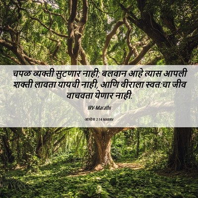 Picture 06 - आमोस 2:14 MARIRV - चपळ व्यक्ती - Bible Verse Picture
