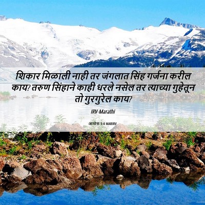 Picture 06 - आमोस 3:4 MARIRV - शिकार मिळाली नाही - Bible Verse Picture