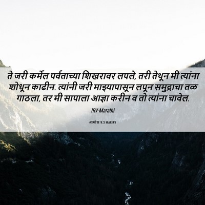 Picture 06 - आमोस 9:3 MARIRV - ते जरी कर्मेल - Bible Verse Picture