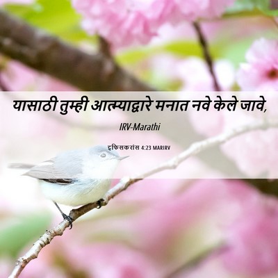 Picture 06 - इफिसकरांस 4:23 MARIRV - यासाठी तुम्ही - Bible Verse Picture