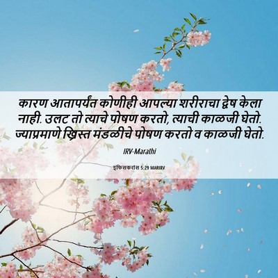 Picture 06 - इफिसकरांस 5:29 MARIRV - कारण आतापर्यंत - Bible Verse Picture