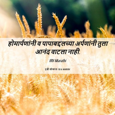 Picture 06 - इब्री लोकांस 10:6 MARIRV - होमार्पणांनी व - Bible Verse Picture