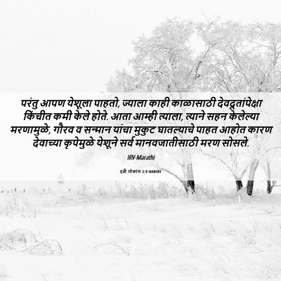 Picture 06 - इब्री लोकांस 2:9 MARIRV - परंतु आपण येशूला - Bible Verse Picture