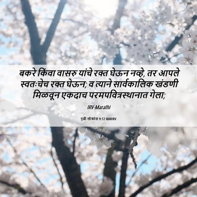 Picture 06 - इब्री लोकांस 9:12 MARIRV - बकरे किंवा वासरु - Bible Verse Picture