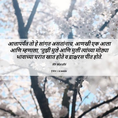 Picture 06 - ईयोब 1:18 MARIRV - आत्तापर्यंत तो हे - Bible Verse Picture