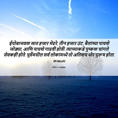 Picture 06 - ईयोब 1:3 MARIRV - ईयोबाजवळ सात हजार - Bible Verse Picture