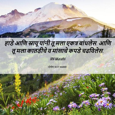 Picture 06 - ईयोब 10:11 MARIRV - हाडे आणि स्नायू - Bible Verse Picture