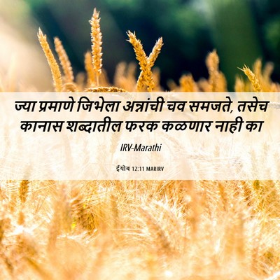 Picture 06 - ईयोब 12:11 MARIRV - ज्या प्रमाणे - Bible Verse Picture