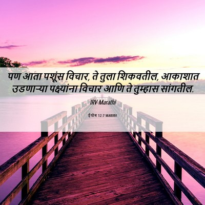 Picture 06 - ईयोब 12:7 MARIRV - पण आता पशूंस विचार, - Bible Verse Picture
