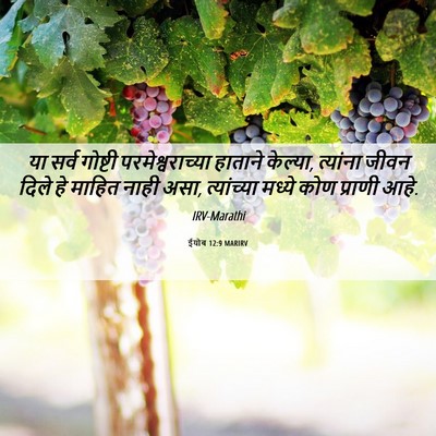 Picture 06 - ईयोब 12:9 MARIRV - या सर्व गोष्टी - Bible Verse Picture