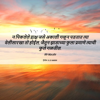 Picture 06 - ईयोब 15:33 MARIRV - न पिकलेले द्राक्ष - Bible Verse Picture