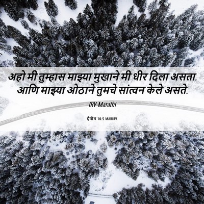 Picture 06 - ईयोब 16:5 MARIRV - अहो मी तुम्हास - Bible Verse Picture