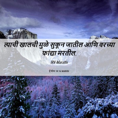 Picture 06 - ईयोब 18:16 MARIRV - त्याची खालची मुळे - Bible Verse Picture