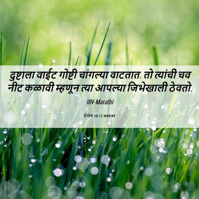 Picture 06 - ईयोब 20:12 MARIRV - दुष्टाला वाईट - Bible Verse Picture