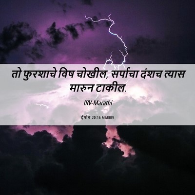 Picture 06 - ईयोब 20:16 MARIRV - तो फुरशाचे विष - Bible Verse Picture