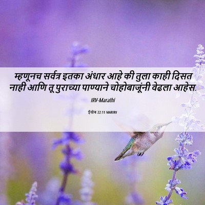 Picture 06 - ईयोब 22:11 MARIRV - म्हणूनच सर्वत्र - Bible Verse Picture