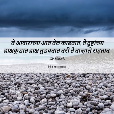 Picture 06 - ईयोब 24:11 MARIRV - ते आवाराच्या आत - Bible Verse Picture