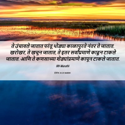 Picture 06 - ईयोब 24:24 MARIRV - ते उंचावले जातात - Bible Verse Picture
