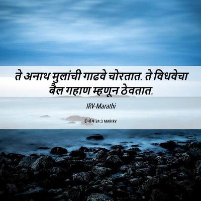 Picture 06 - ईयोब 24:3 MARIRV - ते अनाथ मुलांची - Bible Verse Picture