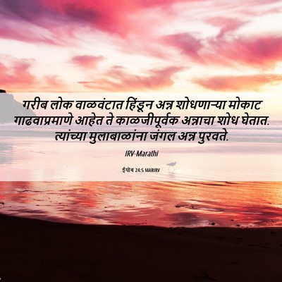 Picture 06 - ईयोब 24:5 MARIRV - गरीब लोक वाळवंटात - Bible Verse Picture