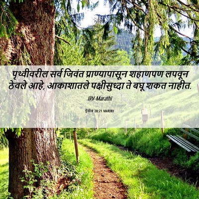 Picture 06 - ईयोब 28:21 MARIRV - पृथ्वीवरील सर्व - Bible Verse Picture