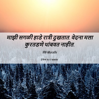 Picture 06 - ईयोब 30:17 MARIRV - माझी सगळी हाडे - Bible Verse Picture