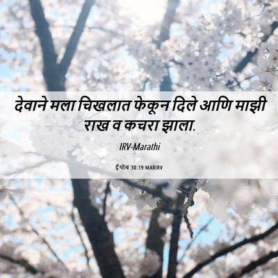Picture 06 - ईयोब 30:19 MARIRV - देवाने मला चिखलात - Bible Verse Picture