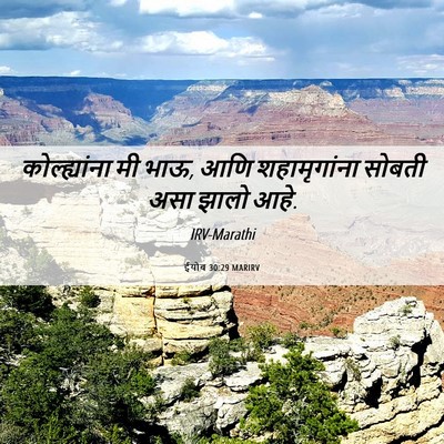 Picture 06 - ईयोब 30:29 MARIRV - कोल्ह्यांना मी - Bible Verse Picture