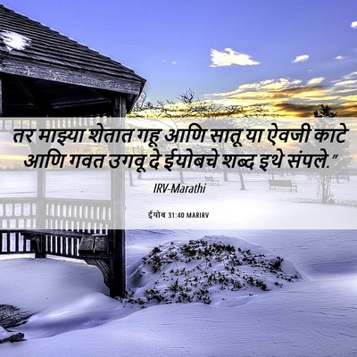 Picture 06 - ईयोब 31:40 MARIRV - तर माझ्या शेतात - Bible Verse Picture