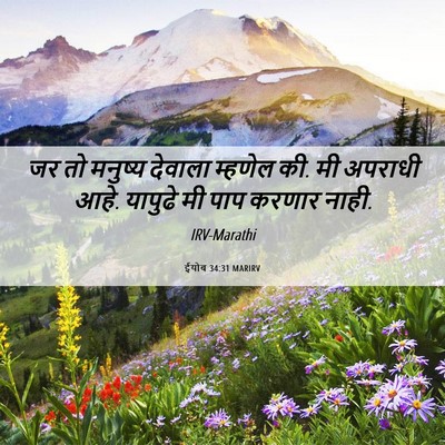 Picture 06 - ईयोब 34:31 MARIRV - जर तो मनुष्य - Bible Verse Picture