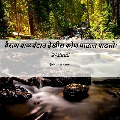 Picture 06 - ईयोब 38:26 MARIRV - वैराण वाळवंटात - Bible Verse Picture