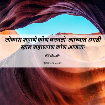 Picture 06 - ईयोब 38:36 MARIRV - लोकांस शहाणे कोण - Bible Verse Picture