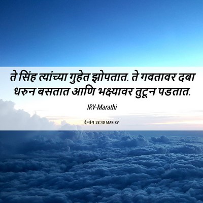 Picture 06 - ईयोब 38:40 MARIRV - ते सिंह त्यांच्या - Bible Verse Picture