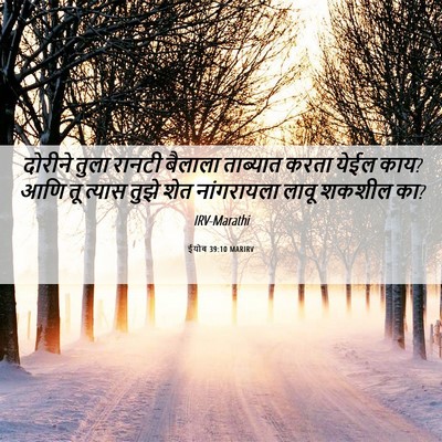 Picture 06 - ईयोब 39:10 MARIRV - दोरीने तुला रानटी - Bible Verse Picture