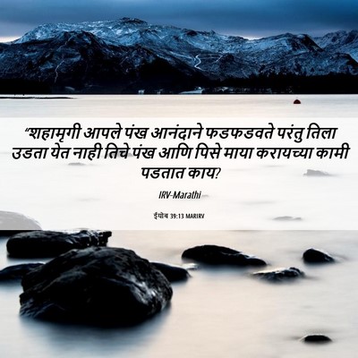 Picture 06 - ईयोब 39:13 MARIRV - “शहामृगी आपले पंख - Bible Verse Picture