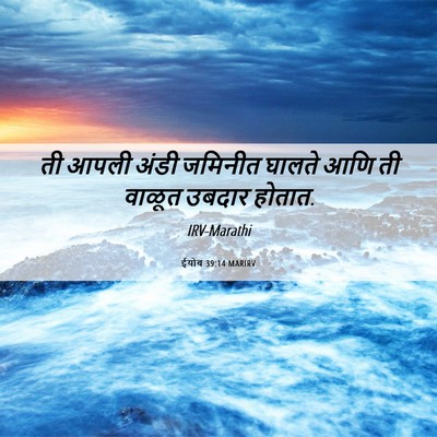 Picture 06 - ईयोब 39:14 MARIRV - ती आपली अंडी - Bible Verse Picture
