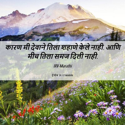 Picture 06 - ईयोब 39:17 MARIRV - कारण मी देवाने - Bible Verse Picture
