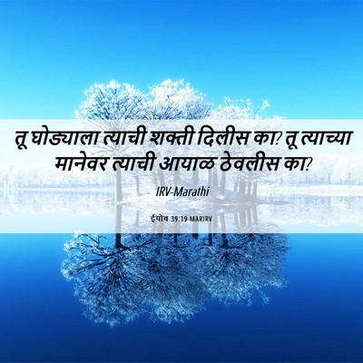 Picture 06 - ईयोब 39:19 MARIRV - तू घोड्याला - Bible Verse Picture
