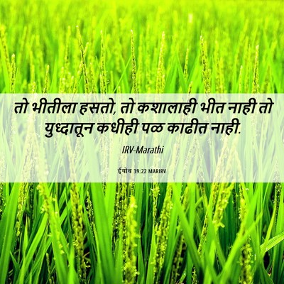Picture 06 - ईयोब 39:22 MARIRV - तो भीतीला हसतो, तो - Bible Verse Picture