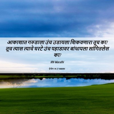 Picture 06 - ईयोब 39:27 MARIRV - आकाशात गरुडाला - Bible Verse Picture