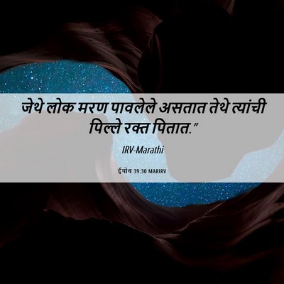 Picture 06 - ईयोब 39:30 MARIRV - जेथे लोक मरण - Bible Verse Picture