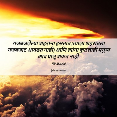 Picture 06 - ईयोब 39:7 MARIRV - गजबजलेल्या - Bible Verse Picture