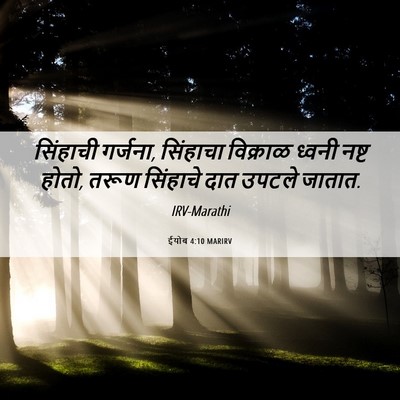 Picture 06 - ईयोब 4:10 MARIRV - सिंहाची गर्जना, - Bible Verse Picture