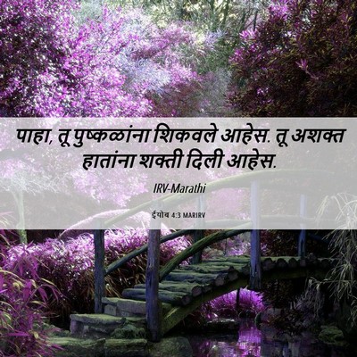 Picture 06 - ईयोब 4:3 MARIRV - पाहा, तू - Bible Verse Picture