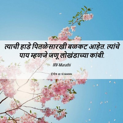 Picture 06 - ईयोब 40:18 MARIRV - त्याची हाडे - Bible Verse Picture