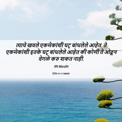 Picture 06 - ईयोब 41:17 MARIRV - त्याचे खवले - Bible Verse Picture
