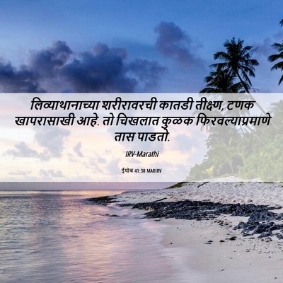 Picture 06 - ईयोब 41:30 MARIRV - लिव्याथानाच्या - Bible Verse Picture
