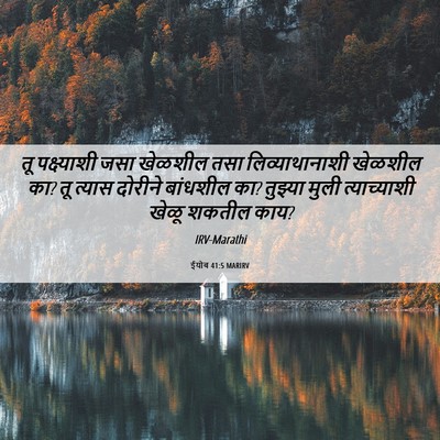 Picture 06 - ईयोब 41:5 MARIRV - तू पक्ष्याशी जसा - Bible Verse Picture